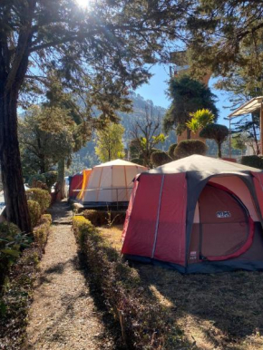 The Camp Kempty, Amazing Camping Experience Guaranteed